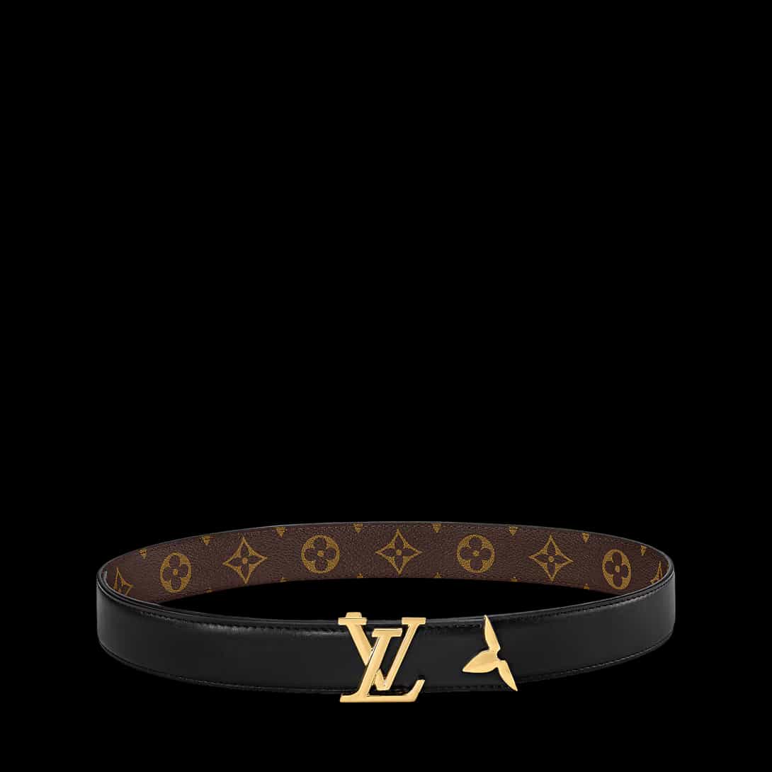 Pretty LV 30mm Reversible Belt — alternate view
